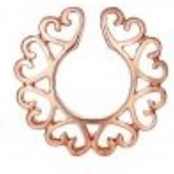 Nipple Shields ~ Per Pair ~ Non-Piercing ~ Hearts ~ 3- Tones - Picture 5 of 9